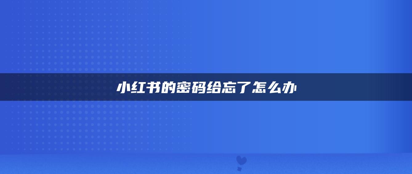 小红书的密码给忘了怎么办