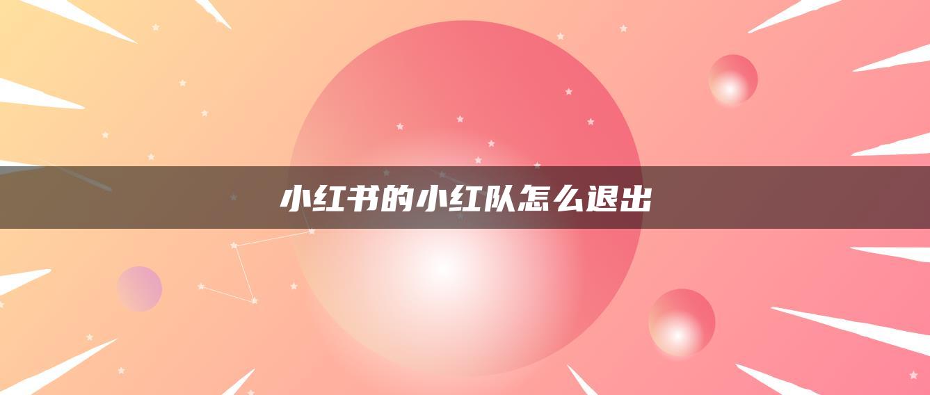 小红书的小红队怎么退出