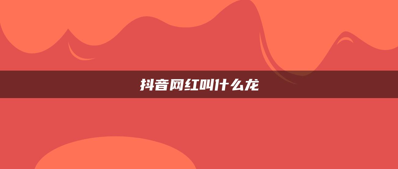 抖音网红叫什么龙