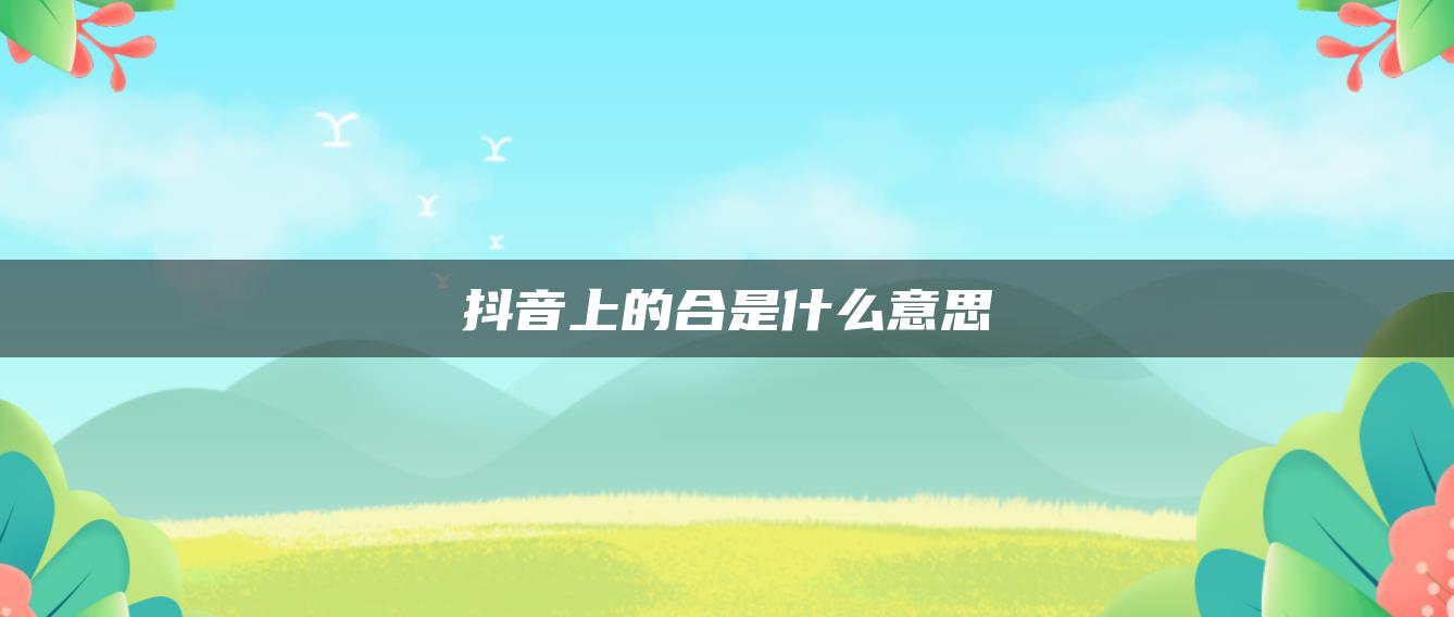 抖音上的合是什么意思