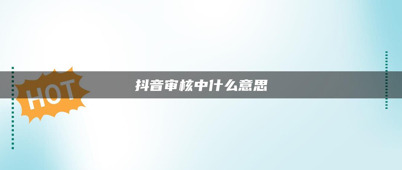 抖音审核中什么意思