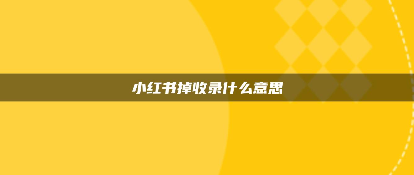 小红书掉收录什么意思