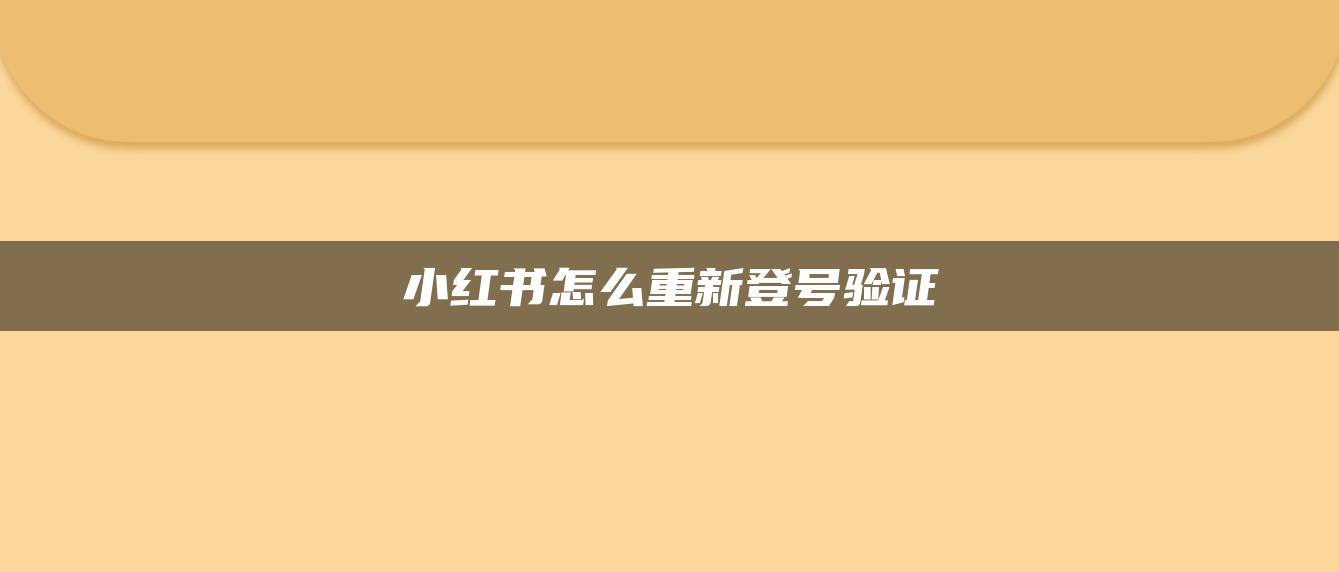 小红书怎么重新登号验证