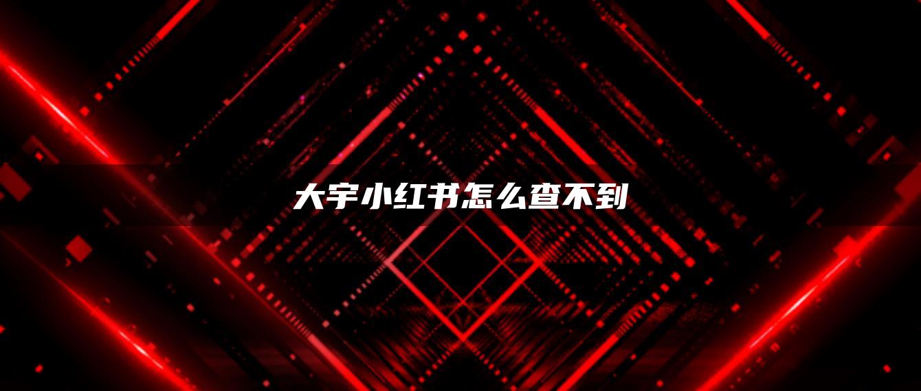 大宇小红书怎么查不到