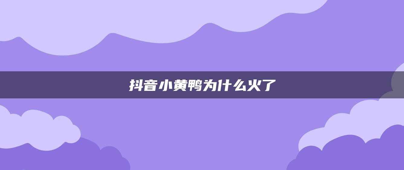 抖音小黄鸭为什么火了