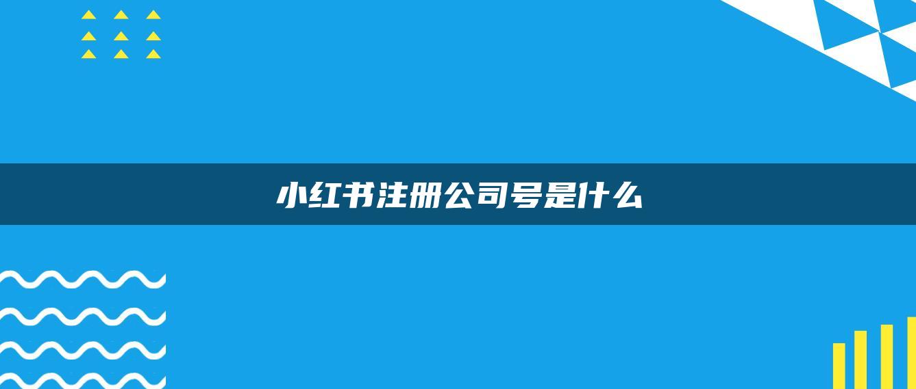 小红书注册公司号是什么