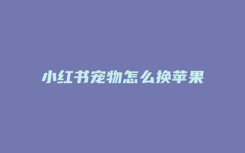 小红书宠物怎么换苹果照片