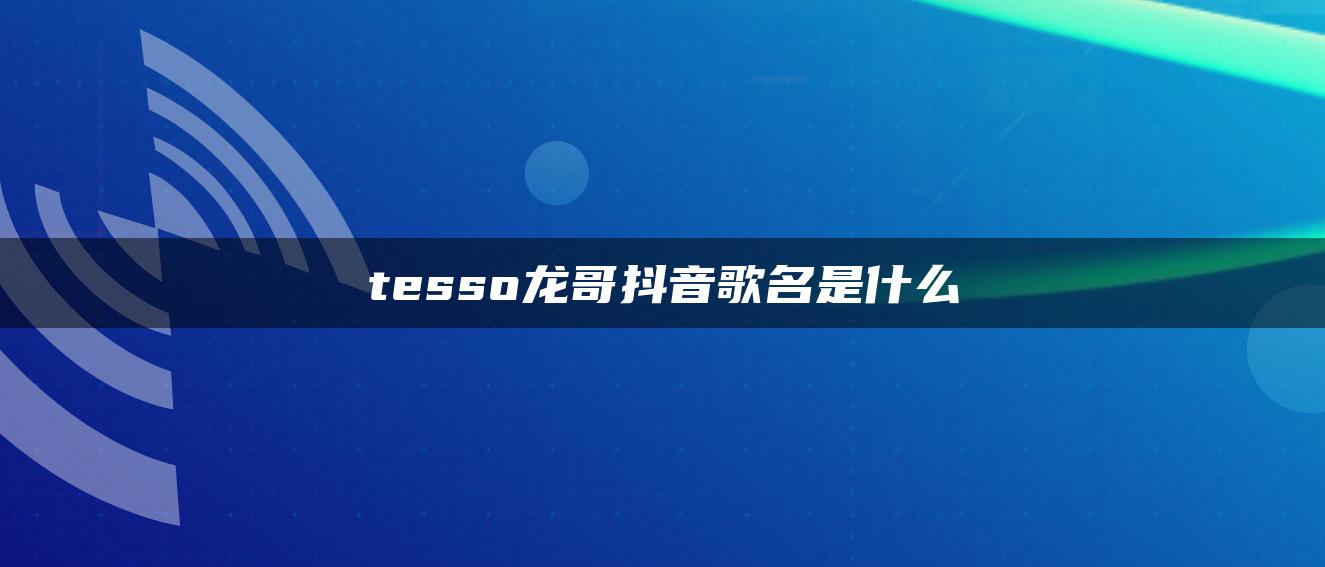 tesso龙哥抖音歌名是什么