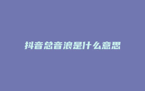 抖音总音浪是什么意思