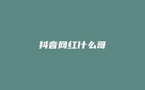 抖音网红什么哥