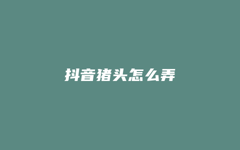 抖音猪头怎么弄