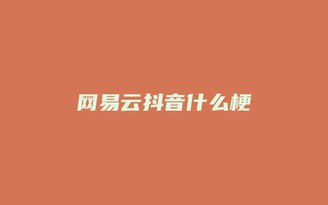 网易云抖音什么梗