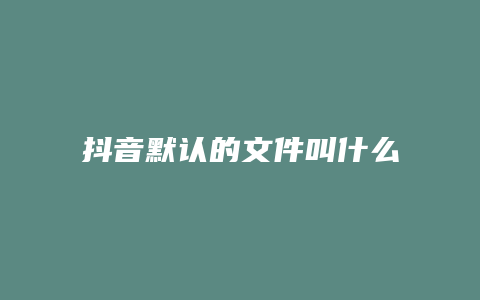 抖音默认的文件叫什么