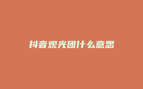 抖音观光团什么意思