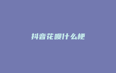 抖音花呗什么梗