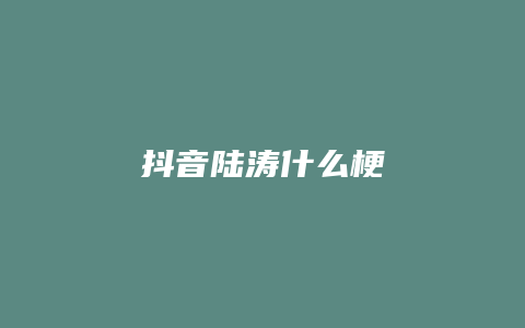 抖音陆涛什么梗