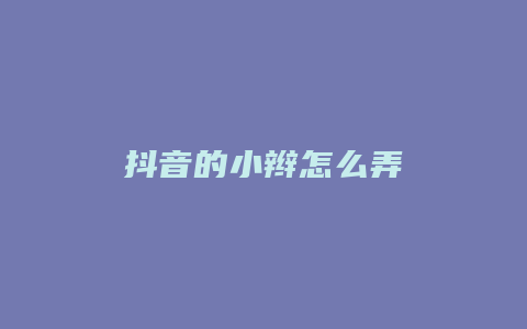 抖音的小辫怎么弄