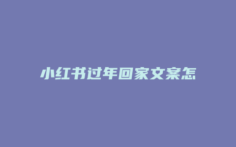 小红书过年回家文案怎么写