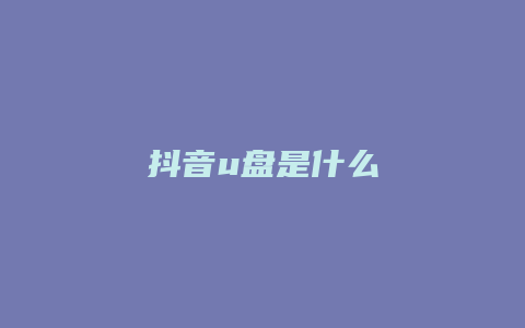 抖音u盘是什么