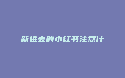 新进去的小红书注意什么