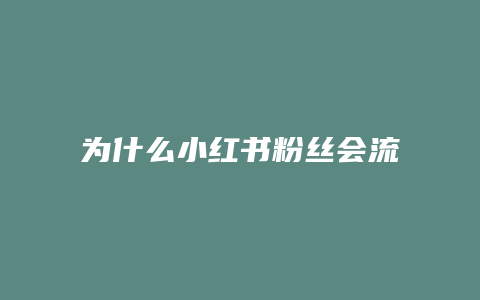 为什么小红书粉丝会流失