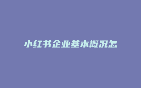 小红书企业基本概况怎么写