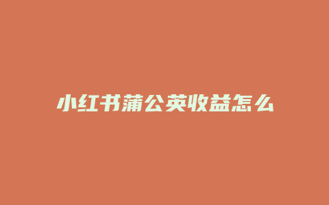 小红书蒲公英收益怎么提现