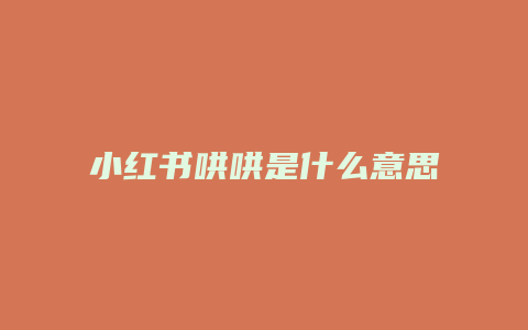 小红书哄哄是什么意思