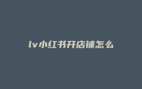 lv小红书开店铺怎么样